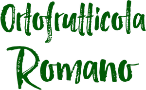 Ortofrutticola Romano